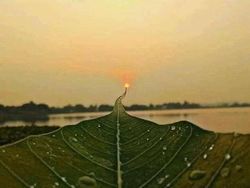 Kumpulan Foto Keren berkat Timing Tepat