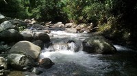 Kesejukan air yang mengalir di sungai ini membuat rileks, yang dijamin bisa membuat pengunjung merasa nyaman untuk berlama-lama berendam dalam sungai, sambil melupakan penat di akhir tahun. (dok Asosiasi Pariwisata Polman)