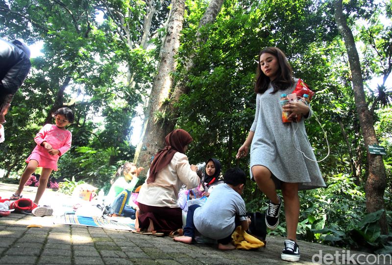 Angin kencang yang melanda wilayah Bogor membuat banyak pohon di Kebun Raya Bogor ditutup sementara. Namun, kini tempat wisata itu kembali dibuka untuk umum.