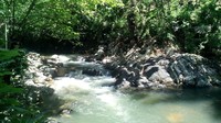 Untuk menjangkau lokasi wisata alam ini tidaklah sulit. Jaraknya hanya 15 menit dari Jalan Trans Sulawesi Pinrang-Polman dan dapat ditempuh dengan menggunakan kendaraan roda empat maupun roda dua. (dok Asosiasi Pariwisata Polman)