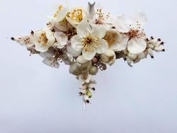 Kreatif! Seniman Sulap Kertas Jadi Burung Bangau Cantik