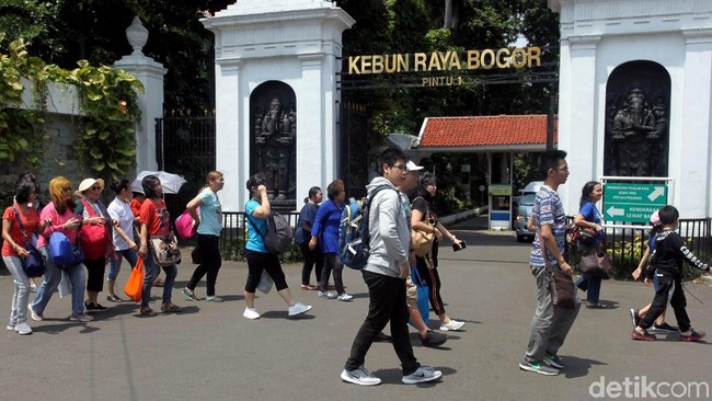 6 Fakta Rombongan Paksa Masuk Kebun Raya Bogor Bikin Sekuriti Terluka
