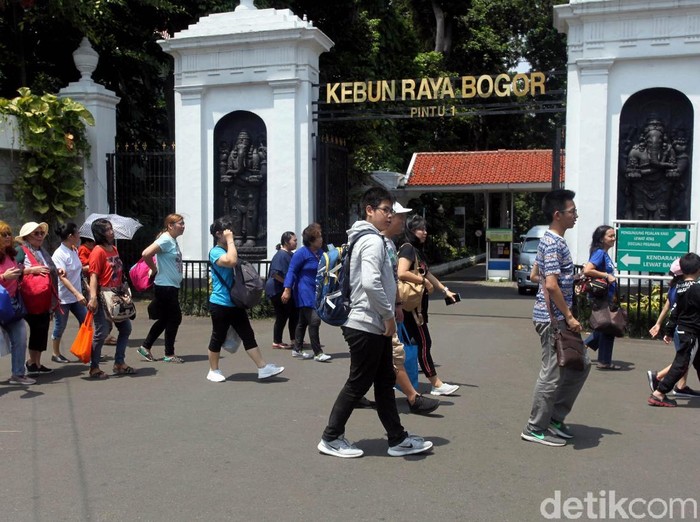 Angin kencang yang melanda wilayah Bogor membuat banyak pohon di Kebun Raya Bogor ditutup sementara. Namun, kini tempat wisata itu kembali dibuka untuk umum.