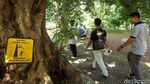 Horeee,... Kebun Raya Bogor Sudah Dibuka Lagi