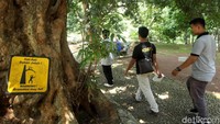 Meski telah dibuka kembali untuk umum, sejumlah tanda himbaunan diletakkan di sekitar pohon-pohon di Kebun Raya Bogor untuk mengantisipasi jika angin kencang kembali menumbangkan pohon-pohon di kawasan tersebut.