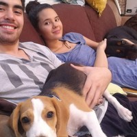 Menghabiskan waktu di sofa rumah bersama anjing kesayangan juga menjadi kegiatan favorit mereka. (Foto: Instagram)