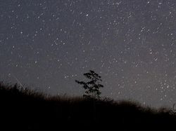 Penampakan Komet Natal Super Terang yang Redup di Indonesia