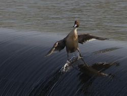 Kumpulan Foto Keren berkat Timing Tepat