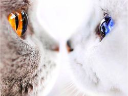 Kumpulan Foto Keren berkat Timing Tepat