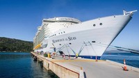 Harmony of the Seas memiliki tata letak dan layanan yang sama dengan Symphony of the Seas. Kapal ini memiliki kapasitas maksimul 6.687 penumpang dengan panjang kapal 362 meter (Harmony of the Seas/Facebook)