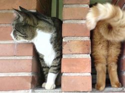 Kumpulan Foto Keren berkat Timing Tepat