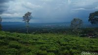 (Raja Adil Siregar/detikTravel)