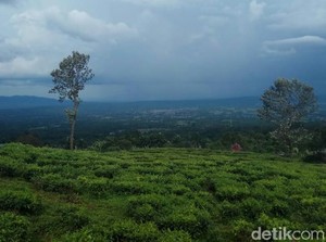 2 Pendaki asal Jambi Hilang di Gunung Dempo Sumsel