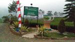 Foto: Pagi-pagi Nikmati Udara Segar di Perkebunan Teh Kaligua