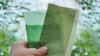Sebuah perusahaan perintis asal Indonesia bernama Evoware menggunakan rumput laut sebagai pengganti plastik. Istimewa/Dok. Instagram @evowareworld.