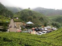 (Imam Suripto/ detikTravel)
