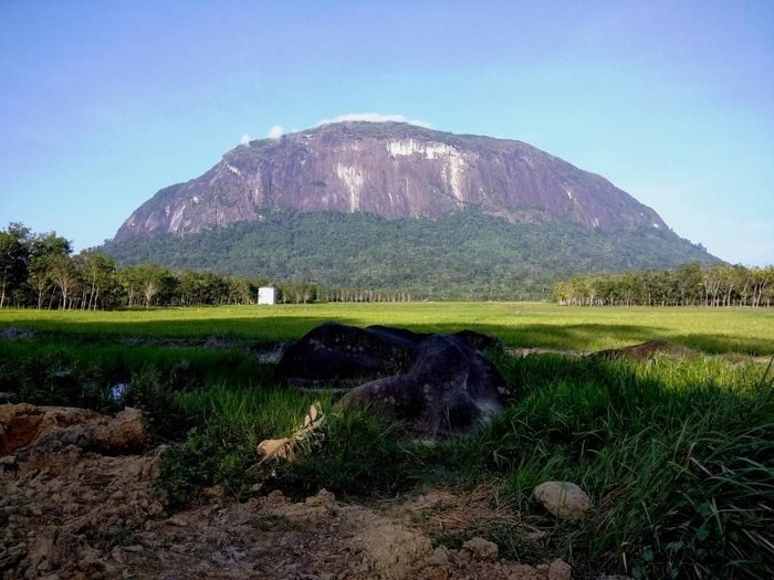 bukit