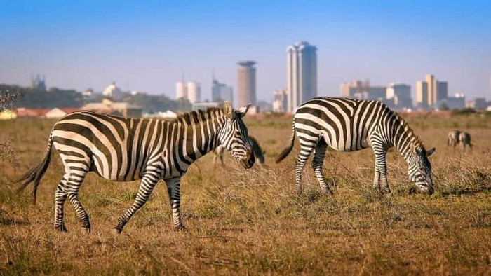Kota Nairobi, Kenya