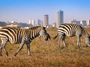 Gile Bener! Kenya Berencana Bangun PLT Nuklir Pertama di Situs UNESCO