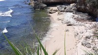 Pasirnya putih bersih (Pradito Rida Pertana/detikTravel)