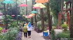 Foto: Air Terjun di Ngawi yang Jadi Duit Rp 1 Miliar/tahun