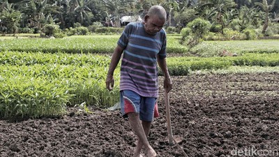 Momentum Deklarasi Hak Petani di Indonesia
