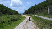 Traveler bisa mencapai Pantai Nglolang naik motor maupun mobil (Pradito Rida Pertana/detikTravel)
