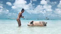 Matilde pun pernah mendatangi Bahama. Tak ketinggalan, berfoto dengan babi yang suka berenang di sana (Instagram/matildefmf)