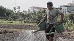 Momentum Deklarasi Hak Petani di Indonesia