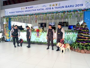 Laura dan Beth Siap Endus Bandara Ngurah Rai Selama Nataru