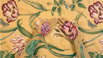 Kelengkungan tubuh dan rambut coklatnya menjadi beberapa indikator keberadaannya. Foto: Cecilia Paredes