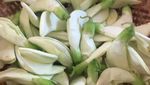 Aduh, Enaknya! Sarapan Pecel Kembang Turi Plus Rempeyek