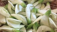 Kembang atau bunga turi merupakan bunga tanaman turi yang banyak ditanam di pinggir sawah di wilayah Jawa Tengah. Kuntumnya putih melengkung dan biasa dikonsumsi sebagai sayur. Foto : Instagram @dilylious_sk