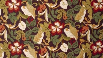 Saat ini bekerja antara Philadelphia, Lima, dan Kosta Rika. Foto: Cecilia Paredes