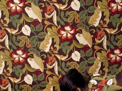 Foto Aksi Manusia Bunglon yang Bikin Mata Melotot