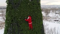 Perbedaan tanggal tidak menghalangi Santa Claus ini untuk menghias pohon Natal di Krasnoyarsk, Rusia. Nampak salju sudah mulai memutihkan sekelilingnya (Reuters/BBC)