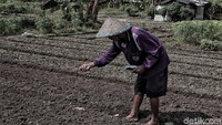 Inilah momentum awal perjuangan Hak Asasi Petani yang selanjutnya dibawa oleh SPI bersama La Via Campesina (Organisasi Petani Dunia) ke tingkat internasional.  Tahun 2018 merupakan tahun bersejarah bagi petani dan perjuangan agraria Indonesia. Setidaknya ada dua hal yang melatarbelakangi argumen tersebut.