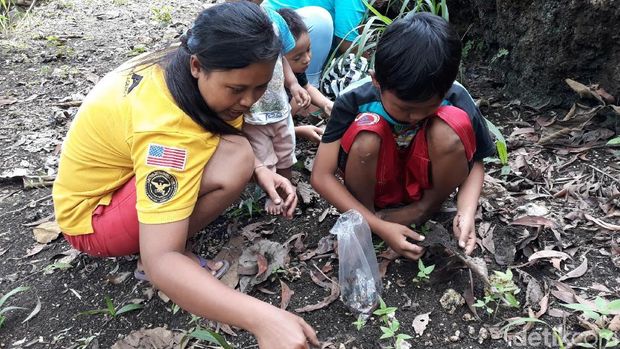 Datang Seiring Musim Hujan, Warga Gunungkidul Berburu Ungkrung