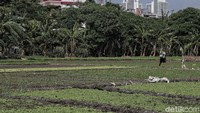 Pertama, Presiden Indonesia Joko Widodo telah menandatangani Peraturan Presiden No. 86 tentang Reforma Agraria pada 24 September 2018 yang akan menjadi instrumen penyelesaian konflik agraria di Indonesia.