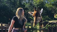 Berfoto dengan jerapah di Australian Zoo. (pollyoddsocks/Instagram)