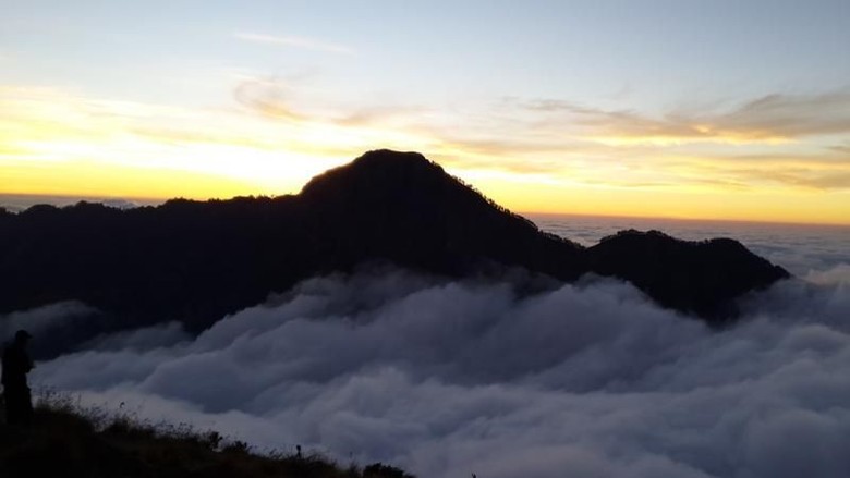 Padang Savana di Gunung Rinjani NTB Terbakar Padang Savana di Gunung Rinjani NTB Terbakar