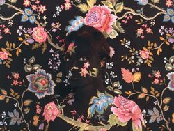 Foto Aksi Manusia Bunglon yang Bikin Mata Melotot