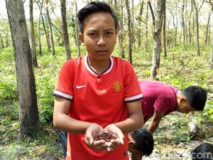 Isi Liburan, Anak-Anak di Ponorogo Berburu Entung