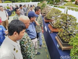 Bonsai Berbuah Ini Menyita Perhatian Warga Ciamis