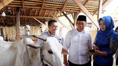 Keren! Pantau Peternakan Kini Bisa Lewat Aplikasi