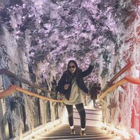 Dorothy Wang merupakan anak konglomerat keturunan China-Amerika, Roger Wang. Bintang serial Rich Kids of Beverly Hills ini pun populer karena gaya hidup mewahnya. Foto: Instagram