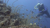 Dua host MTMA yaitu Bima Aryo dan Inka Fitria bertualang ke Kepulauan Selayar (My Trip My Adventure)