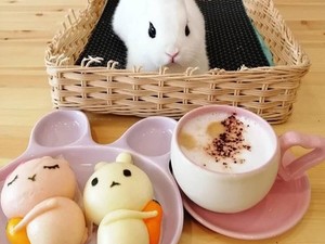 Yuk, Ajak Si Kecil Makan Sambil Main Bareng Penguin dan Kelinci!