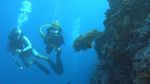 Foto: Kepulauan Selayar Seindah Surga