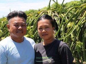 Buah Naga Indonesia Serbu Australia, Petani Lokal Menjerit
